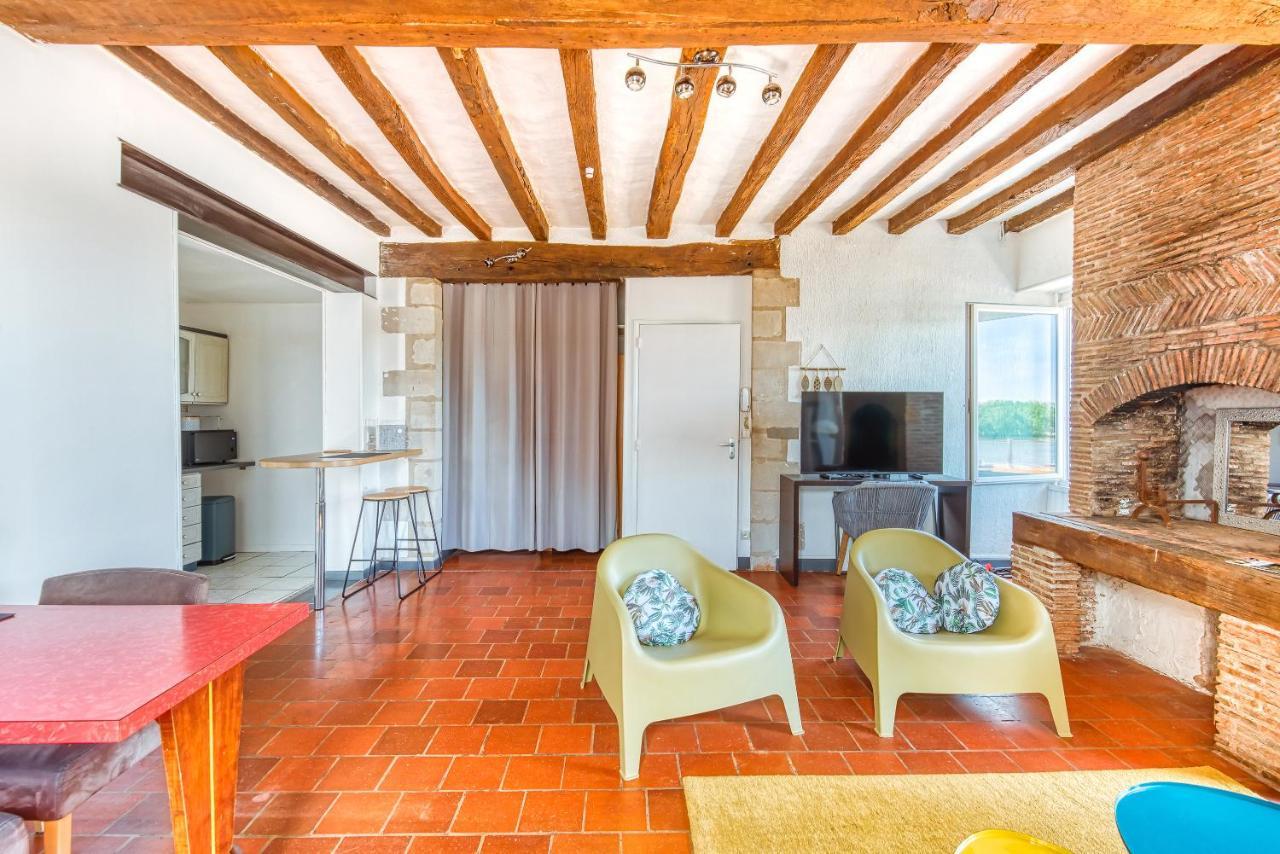 Monkey Paradise Bel Appartement Vue Loire Bouchemaine 외부 사진